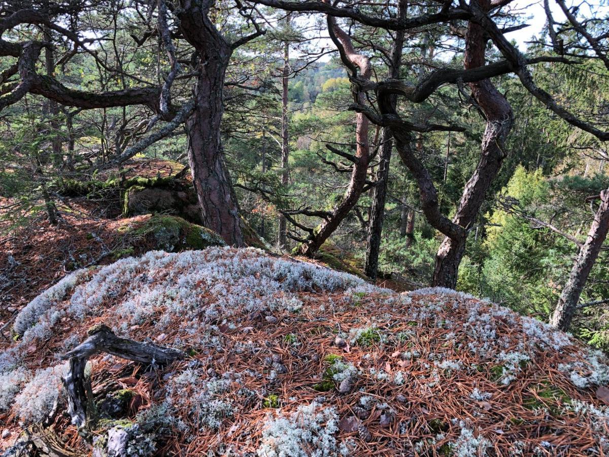 Mysig Och Modern Stuga Pa Snoegard, Naera Havet Och Naturen Lur  Exterior foto