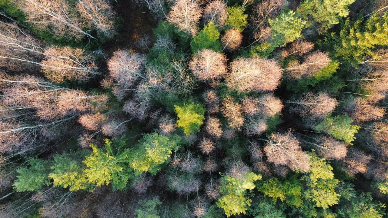 Mysig Och Modern Stuga Pa Snoegard, Naera Havet Och Naturen Lur  Exterior foto