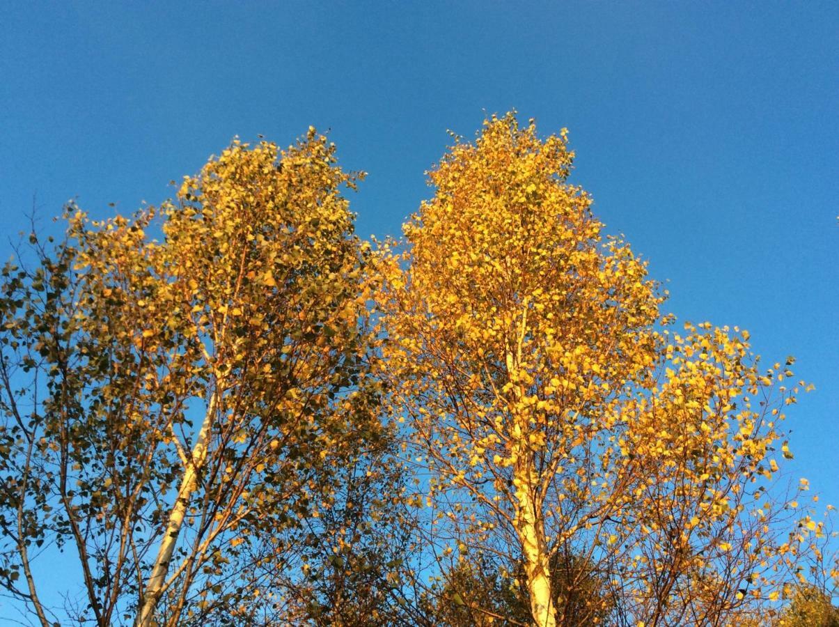 Mysig Och Modern Stuga Pa Snoegard, Naera Havet Och Naturen Lur  Exterior foto